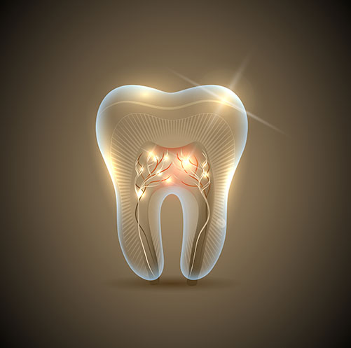 Root Canal Therapy | Core Dental | General & Family Dentist | Downtown Calgary